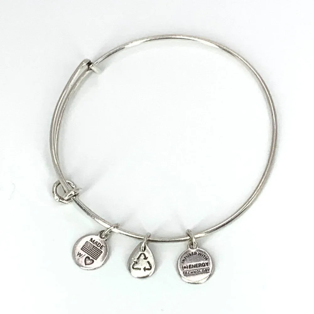 Alex and Ani Charm Station Bracelet Silver Finish - Expands 2